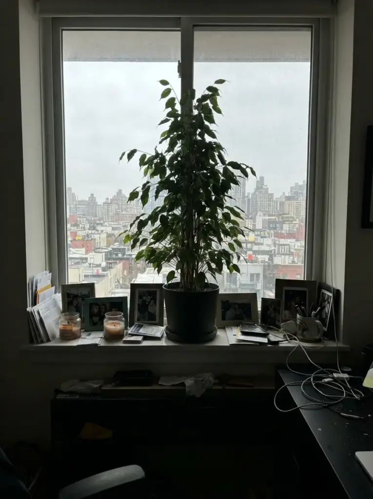 Keep window sills and sight lines uncluttered